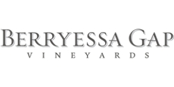 Smaller organizations often face big challenges managing mobile workers and delivering quality customer service. This customer story explores how Berryessa Gap Vineyards used Microsoft 365 and Teams to support remote productivity and enhance the guest experience, all without adding complexity. Read the story for real-world inspiration and reach out to ContentMX to learn how to apply the same solutions in your business.